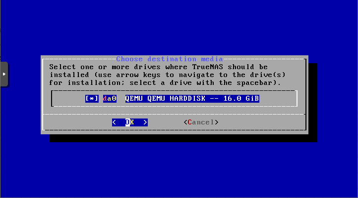 TrueNas installation select harddisk